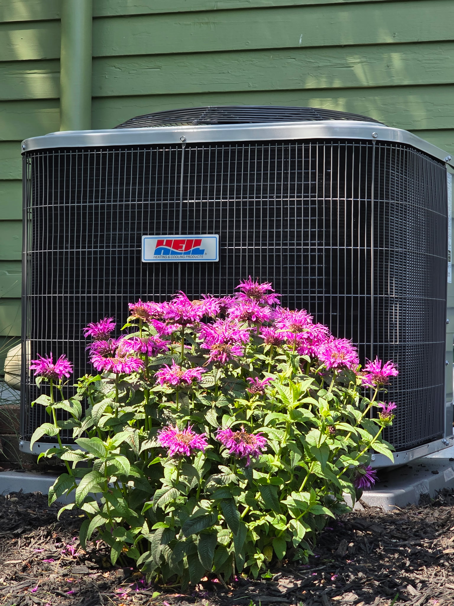 air conditioner installed outside near beautiful flower